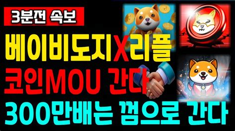 코인추천 베이비도지 리플 Mou 확정 반드시 300만배 터진다 무조건 사세요 부자됩니다 코인전망 베이비도지 베이비