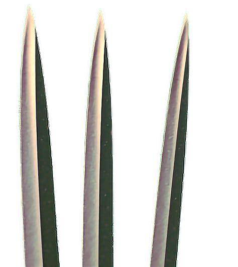 Download Freetoedit Awesome Cool Wolverine Claws Png Image With No