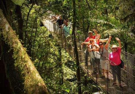 Arenal Hanging Bridges Tour - Mistico Park - Eagle Tours