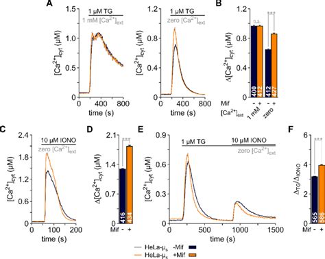 Adaptive changes in the Ca 2+ homeostasis induced by expansion of the ... 