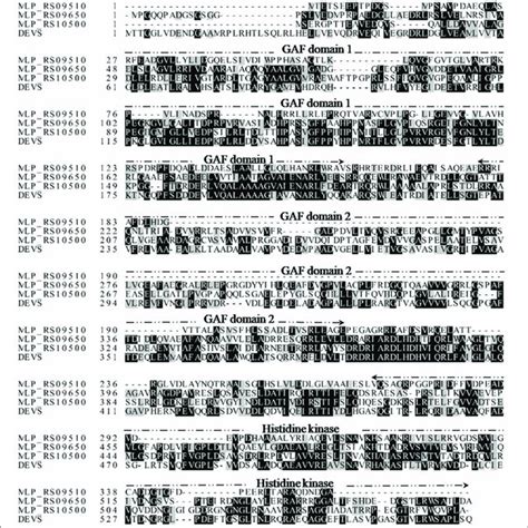 Multiple Sequence Alignment Of M Tuberculosis Devs With Putative