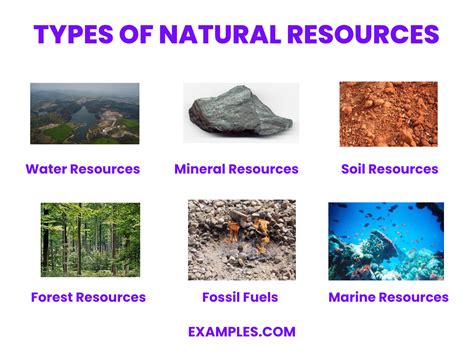 Which Is A Natural Resource At Dotty Shaw Blog