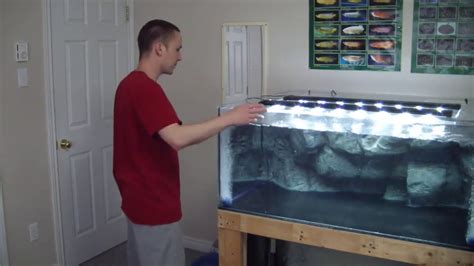 How To Set Up An Aquarium Final Steps Youtube