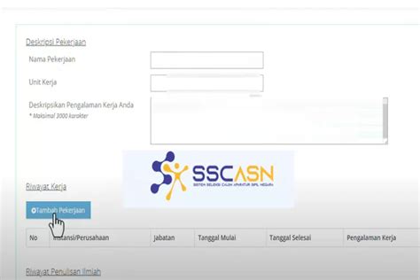 SSCASN 2024 Deskripsi Pekerjaan CPNS Diisi Apa Begini Contoh Cara Isi