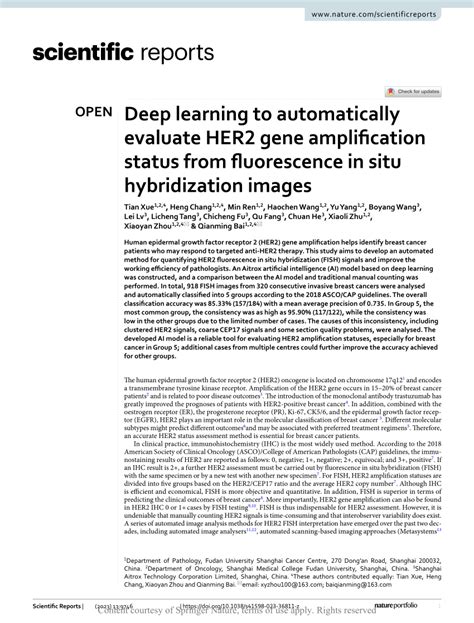 PDF Deep Learning To Automatically Evaluate HER2 Gene Amplification