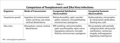 Toxoplasmosis Rash