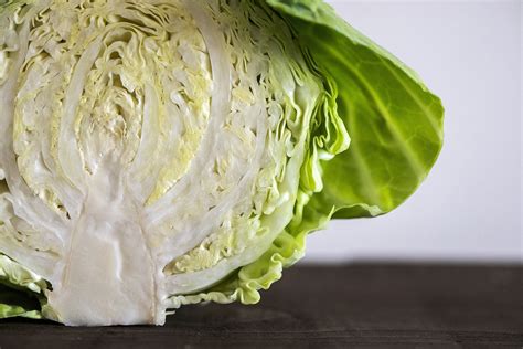 How To Tell If Cabbage Is Bad What To Look For Cleaning Home Tips