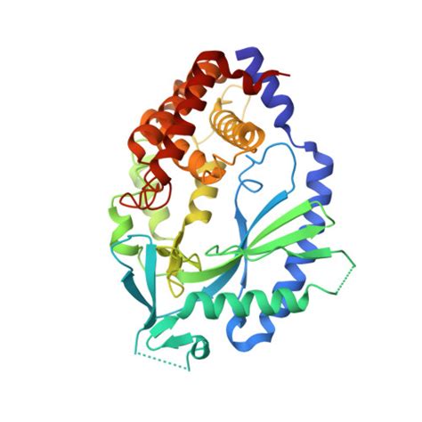 Rcsb Pdb Ftu Crystal Structure Of Human Cyclic Gmp Synthase In