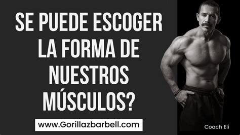 Se Puede Modificar La Forma De Nuestros Musculos Coach Eli Youtube