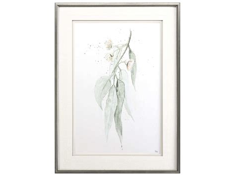 Paragon Delicate Eucalyptus I Shadow Box Pad