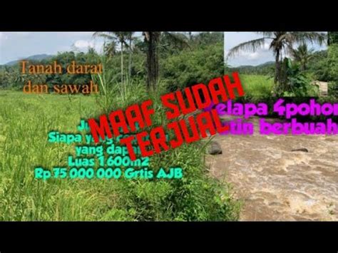 Tanah Darat Dan Sawah Nyambung Sungai Citarik Turun Dari Hrg Jt