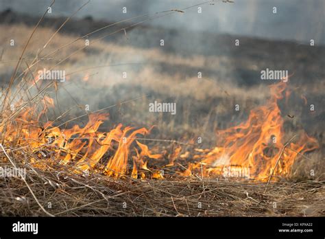 Burns Dry Grass Fire In A Rural Location Stock Photo Alamy