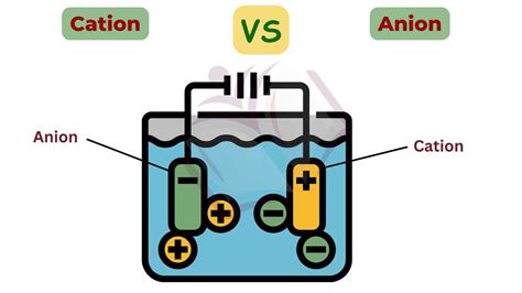 Difference Between Cation And Anion