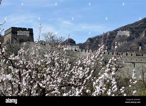 Tianjin 4th Apr 2021 Photo Taken On April 4 2021 Shows The Scenery