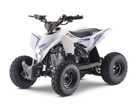 Mini Quad De Gasolina De 90cc Poloroanradix Azul Ruedas Grandes De 6