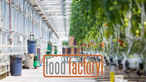 Watch Food Factory (CA) · Season 1 Full Episodes Free Online - Plex