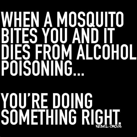 When A Mosquito Bites You And It Dies From Alcohol Poisoning