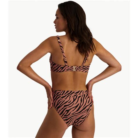 Beachlife Rose Zebra High Waist Bikini Hose Annadiva