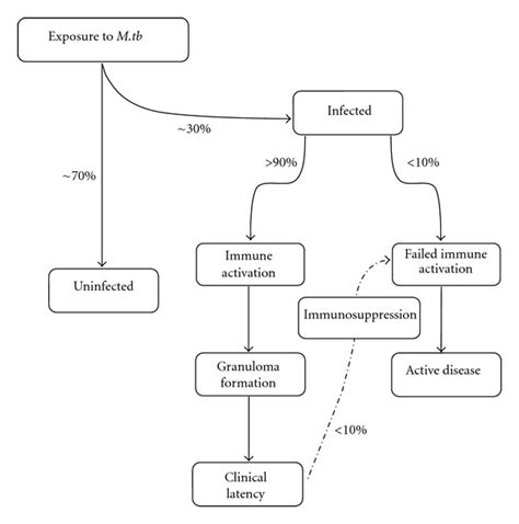 Tb Symptoms Flow Chart