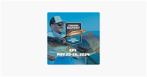 Lower Chesapeake Bay Fishing Report May On Apple Podcasts