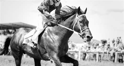 Four Of The Most Famous Jockeys Of All Time Everything Horse