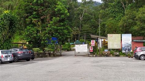 Bukit Larut (Maxwell Hill) - Taiping