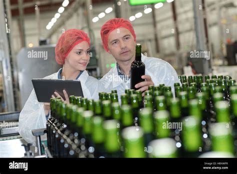 Portrait Of Brewers Checking Beers At Brewery Stock Photo Alamy