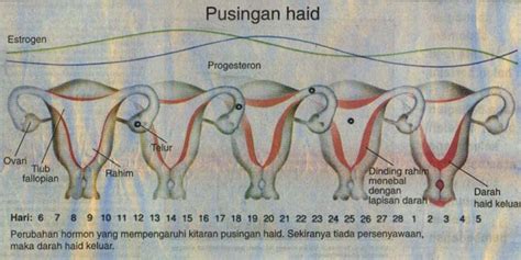 Kitaran Haid Normal Berapa Hari