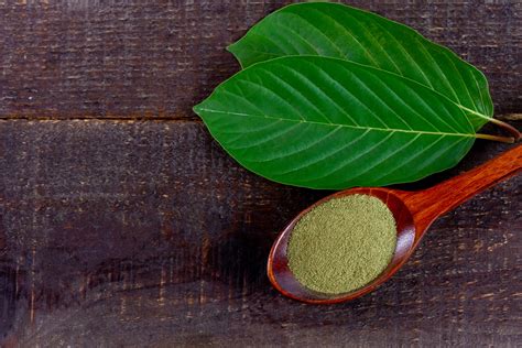 Can I Take Kratom Powder Directly Kratom Apothecary