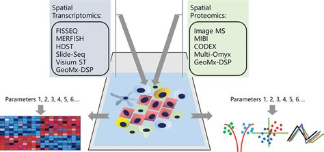 Spatial Transcriptomics And Proteomics Technologies For Deconvoluting