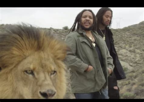 Stephen Marley News And New Music Urban Islandz