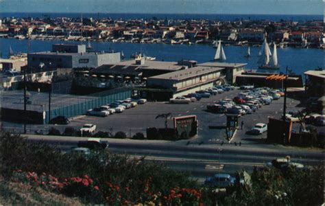 View of Lido Isle Newport Beach, CA Postcard