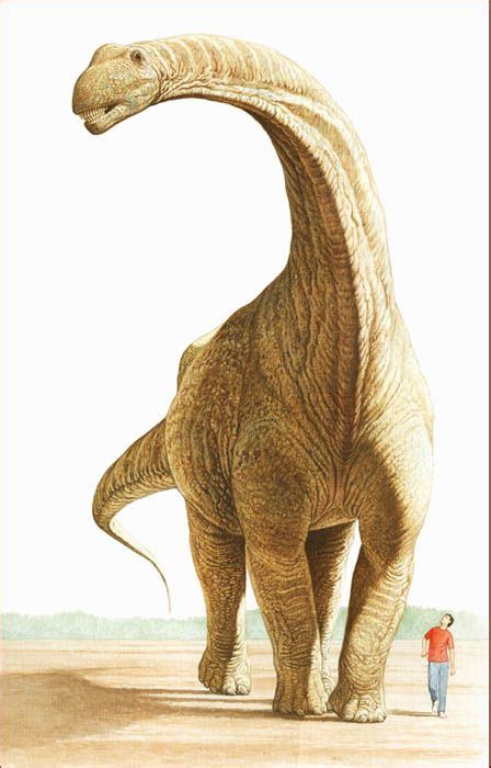 Argentinosaurus size compared to a human : r/Dinosaurs