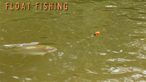 Fishing LAKE ERIE Tributaries For Early Fall STEELHEAD YouTube