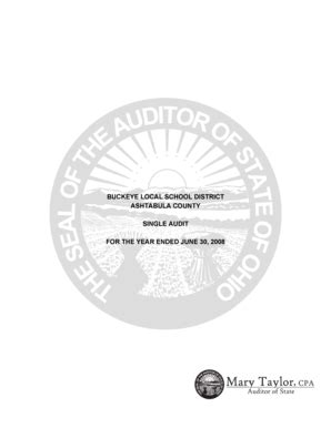 Fillable Online Auditor State Oh Independent Accountants Report On