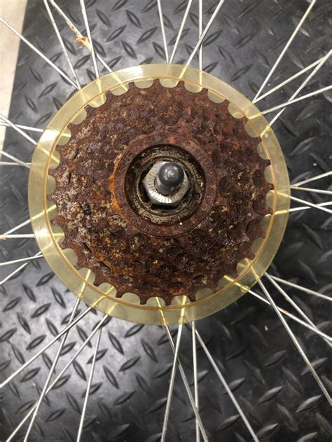 What Tool Do I Need To Remove This Cassette R Bikewrench