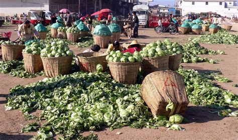 How Nigeria Can Cut N35trn Yearly Post Harvest Losses By Experts