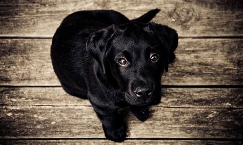 stock photo sites   stock  stugon