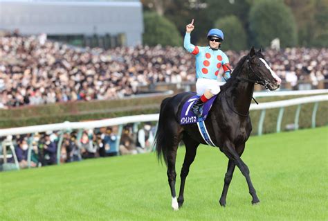 【天皇賞・秋】世界最強馬イクイノックス始動 半年間レーティング1位、ルメール“5冠”自信 競馬写真ニュース 日刊スポーツ