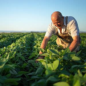 Caderno especial O Agro é Nosso Chão Plano Safra 2021 2022 Banrisul