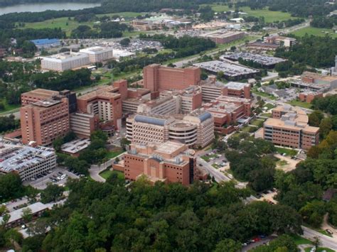 Pediatric Residency Program College Of Medicine University Of Florida