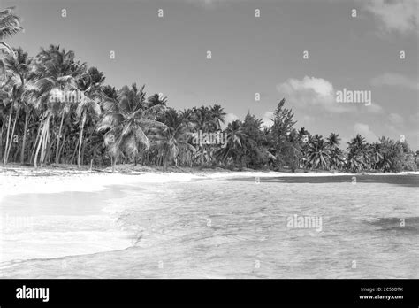 Tropical Island Desert Island Pure White Sand View Of The Beach From