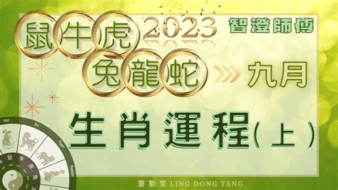 2023年9月運勢 十二生肖 運程預測（上） 每個生肖最後都有9月特別注意事項🌟記得看完｜鼠牛虎兔龍蛇生肖 運程 事業 愛情 財運 預測 2023增運 運勢 加強 Youtube