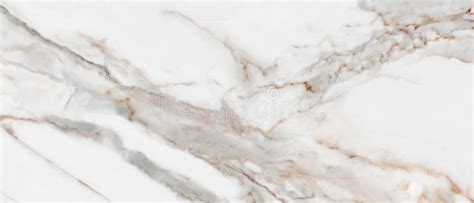 Carrara Statuarietto White Marble White Marble Texture Background