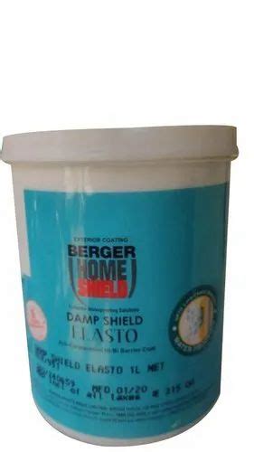 High Gloss Water Based Paint Berger Home Shield Damp Shield Elasto