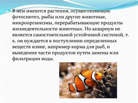Искусственны экосистемы - презентация онлайн