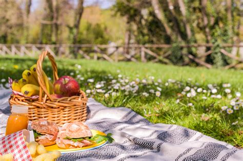 pursuit sponsors edith borthwick school summer picnic essex