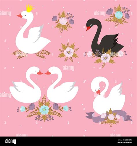 Beautiful White Princess Swan With Crown Cartoon Goose Duck Bird Vector Set Black Swan And