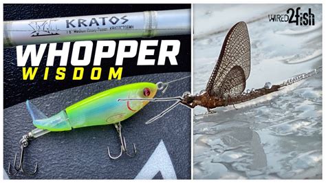 6 Whopper Plopper Tips for Bass Fishing Success – Bass Manager | The ...