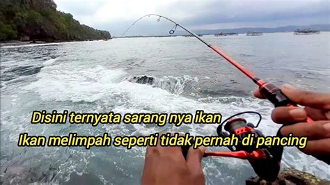 Ikan Rakus Seperti Tidak Pernah Di Pancing Mancing Pinggiran Pantai